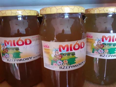 Miód rzepakowy z własnej pasieki Kup OLX pl