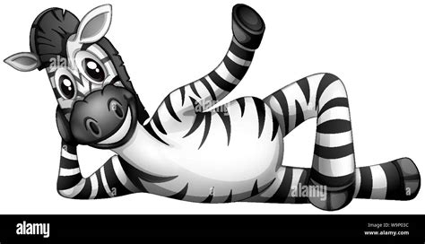 Happy Zebra On White Background Illustration Stock Vector Image And Art