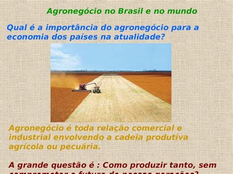 PPT Agronegócio no Brasil e no mundo Qual é a importância do