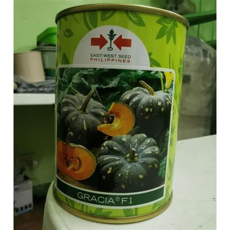 EAST WEST GRACIA HYBRID SQUASH PUMPKIN SEEDS 50 GRAMS CAN Lazada PH