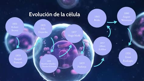 Evolucion De La Celula By Andrea US Rosales On Prezi