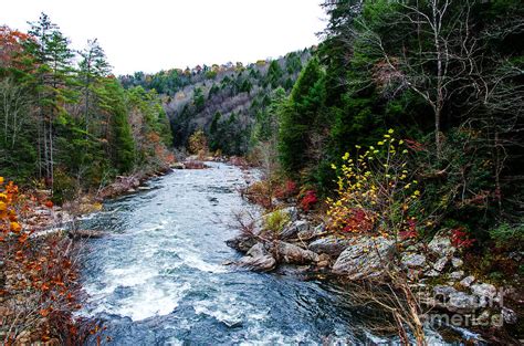 Wild And Scenic Obed River Photograph by Paul Mashburn - Pixels