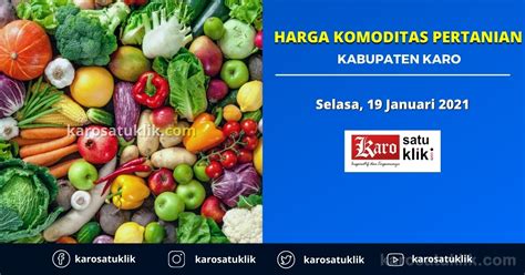 Harga Komoditas Pertanian Kabupaten Karo 19 Januari 2021