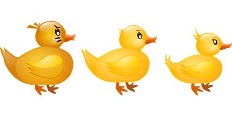 Download Duck, Animal, Bird. Royalty-Free Vector Graphic - Pixabay