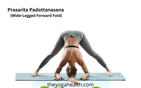 Top 13 Uttanasana Variations - TheYogaHealth