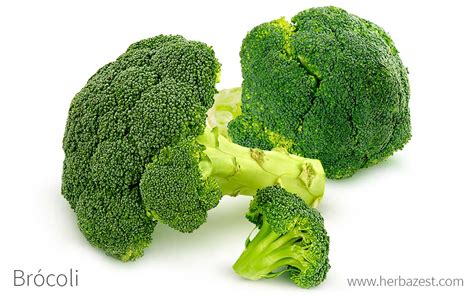 Origen y Producción de Brócoli Brassica oleracea var italica