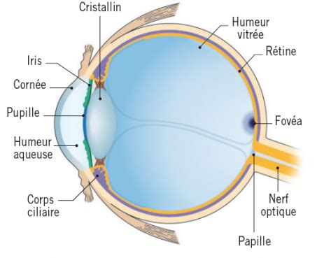 El Ojo Qu Es