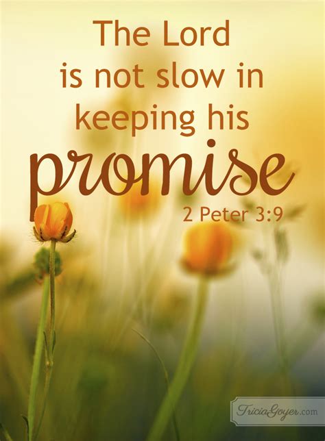 Keeping His Promise 2 Peter 3 9 Tricia Goyer Inspirational