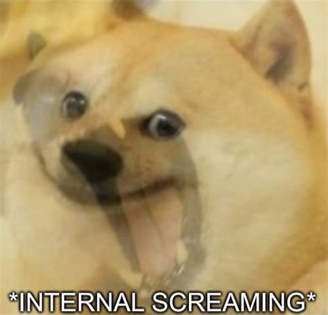 Doge Internal screaming Memes - Imgflip