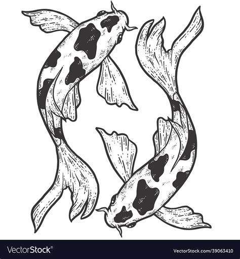 Koi Drawings