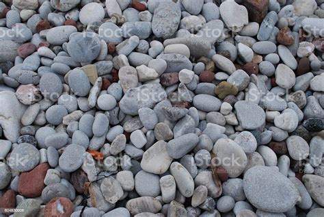 Red And Grey Natural Pebblestone On The Beach Stock Photo Download