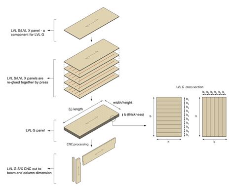 Laminated Veneer Lumber Sizes - Infoupdate.org