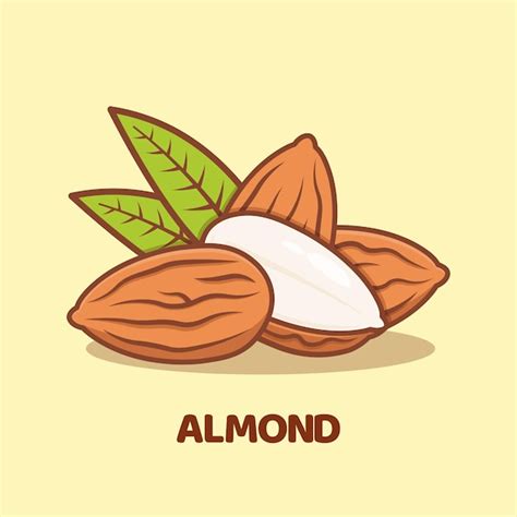 Ilustraci N De Icono De Vector De Dibujos Animados De Almendra Aislado