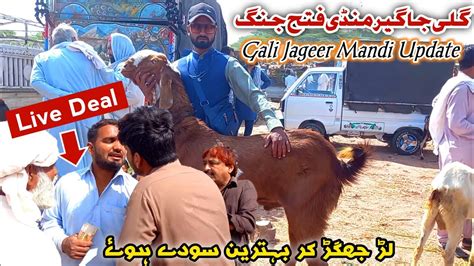 Gali Jageer Mandi Latest Update May Live Soda Bakra Eid