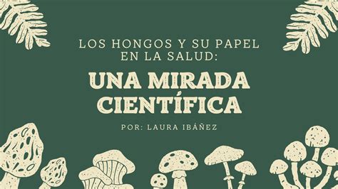 Los Hongos Y Su Papel En La Salud Una Mirada Científica Masscience