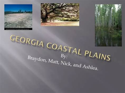 Ppt Georgia Coastal Plains Powerpoint Presentation Free Download Id 2224725