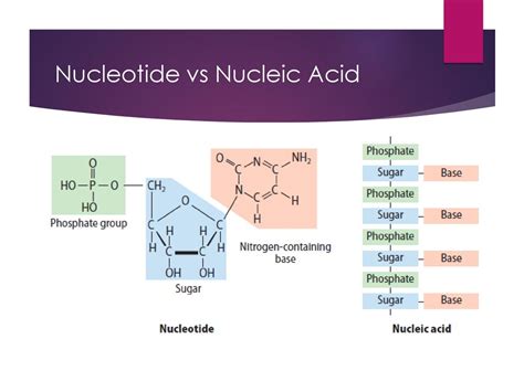 Carbon Compounds Chapter Ppt Download