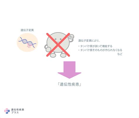 遺伝子変異は健康や誕生にどのように影響しますか？ 遺伝性疾患プラス