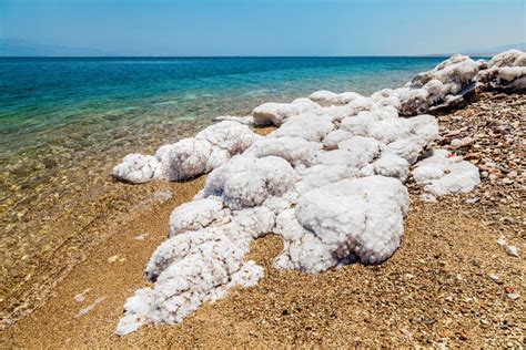 Salt Vagga I Det D Da Havet Jordanien Fotografering F R Bildbyr Er