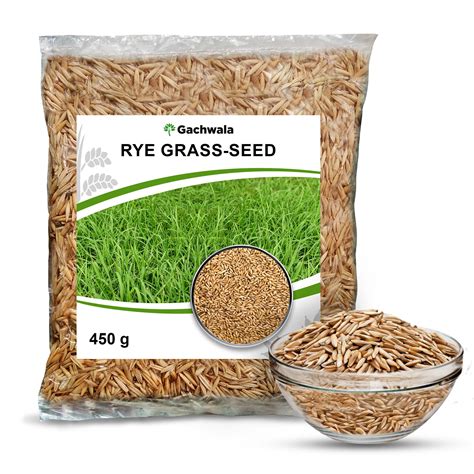 Buy Rye Seed Online Cultivating The Versatile Cereal Grass