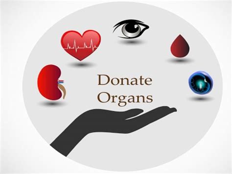 World Organ Donation Day Donate Your Organs And Save Lives But Be Aware Of These Facts