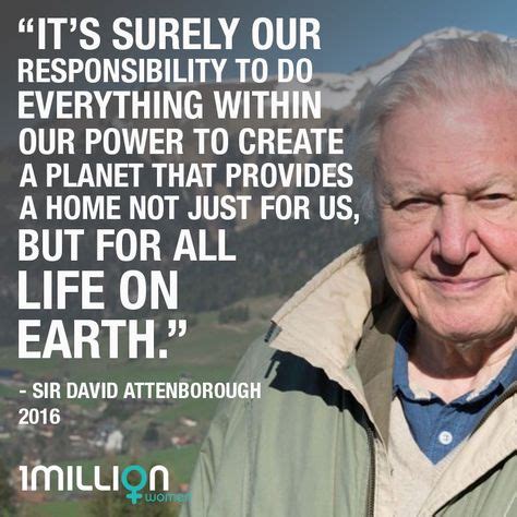 10+ David attenborough quotes ideas | david attenborough, david attenborough quotes, quotes