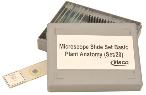 Plant Anatomy Microscope Slide Set - 20 Slides in Plastic Storage Box ...