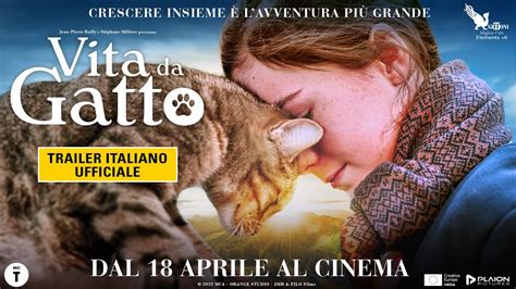 Vita Da Gatto Trailer Italiano Ufficiale Youtube