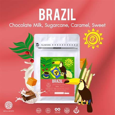 Specialty Coffee Beans - Brazil Cerrado 200g