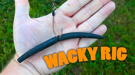 Bass Fishing With A Classic Wacky Rig Youtube