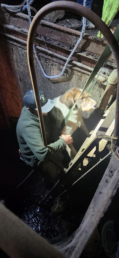 Dog Rescued After Falling Into Hole In Ogden Warehouse