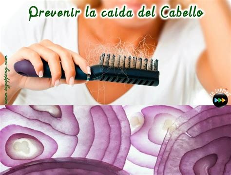 Tozapping Como Se Puede Prevenir La Caida Del Cabello X Tozapping