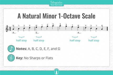 A Minor Scale on the Violin – Notes, Fingering, and Charts ...