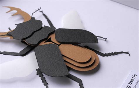 Stag Beetle Paper Mode Papercraft Insect Frame Vegan Taxidermy