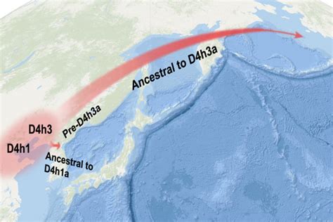 Adn Revela Las Migraciones Humanas En La Edad De Hielo Desde China