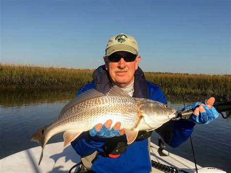 Redfish Fishing Tips And Tricks Avid Angler