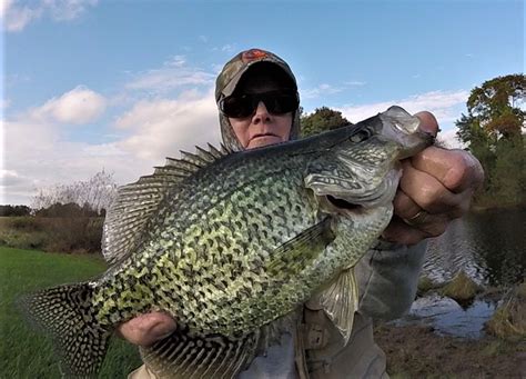 Slab Crappie Savvy Fishtalk Magazine