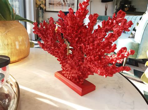 Coral Vermelho Igor Interiores