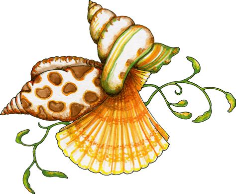 Beach Shell Cliparts - Free Download