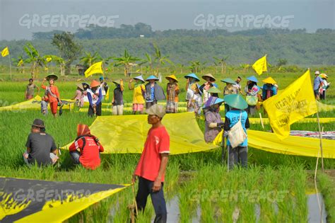 Greenpeace Coal Power Plant Protest In Indonesia