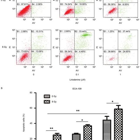 Liriodenine Sensitizes Eca 109 Cells To Ir A Eca 109 Cells Were