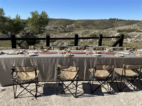 Home Best Partridge Shooting Spain Hunting In Spain Casasola