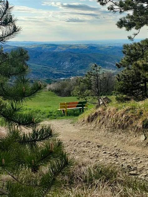 Una Caccia Al Tesoro Fotografica Per Trovare Le Panchine Pensanti Di