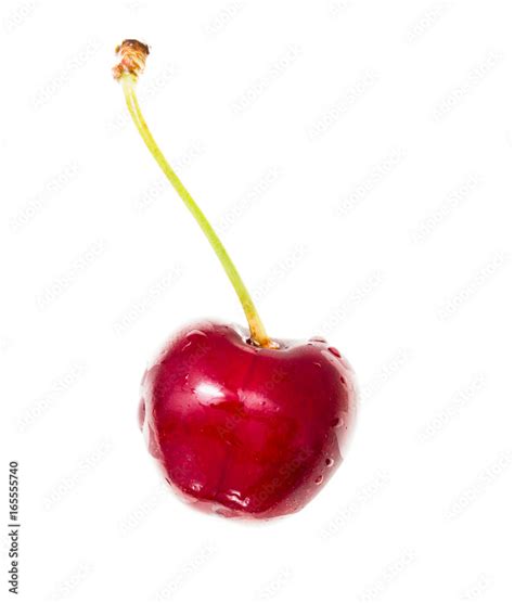 cherry   white background stock photo adobe stock
