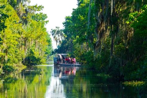 16 Best New Orleans Swamp Tours - TourScanner