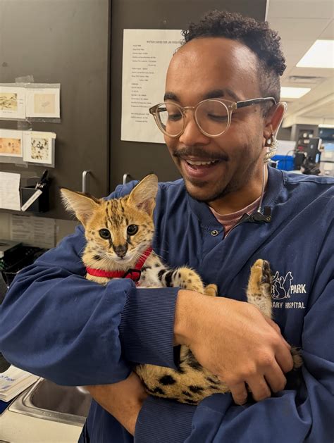 Winter Park Veterinary Hospital | Winter Park FL