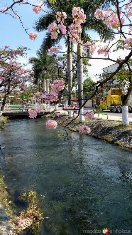 Primavera 2020 Ciudad Mante Tamaulipas