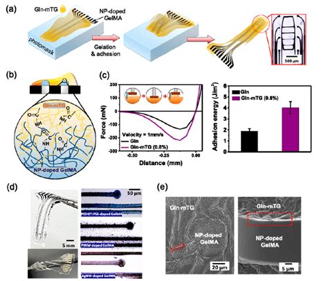 Transfer Printing Fabrication Of Gln Hydrogel MEA A B Schematic