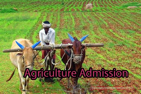 Agriculture Admission 2024 {Release Date} Apply Online, Eligibility ...