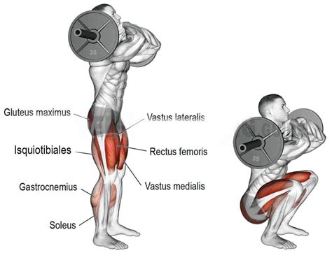 Los Mejores Ejercicios Para Piernas